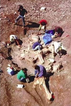 Adenuga Olalekan Blog: Giant ancient Skeletons Of Unusual Size Of People found In Saudi Arabian ...