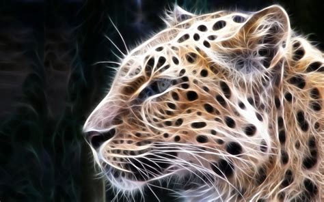 🔥 [140+] Mac Os X Snow Leopard Wallpapers Hd | WallpaperSafari