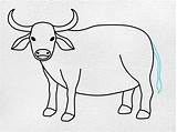 Water Buffalo Drawing  HelloArtsy sketch template