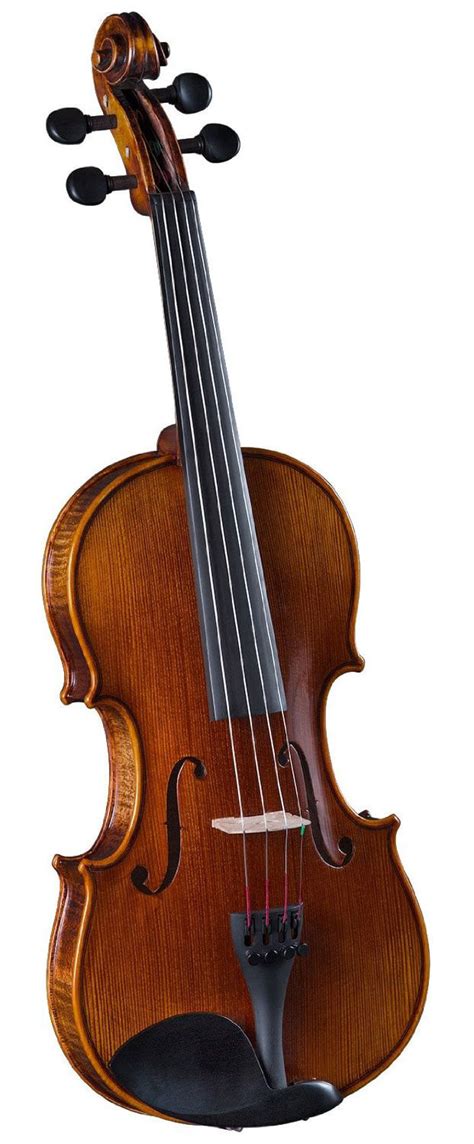 15 Best Violin Brands Reviews 2017 - Consordini.com