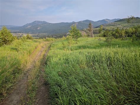 Bear Valley Mountain Biking Trail - Hillcrest, Alberta