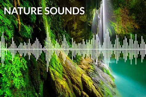 Nature Sounds - Natural Sounds for sleep, relaxing and meditation