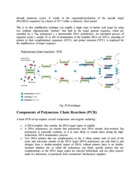 Different Molecular Techniques