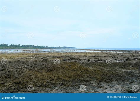 Eulittoral Zone - Intertidal Ecology - Coastal Erosion - Climate Change - Dry Season Stock Photo ...