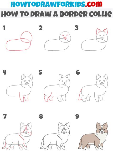 How to Draw a Border Collie - Easy Drawing Tutorial For Kids