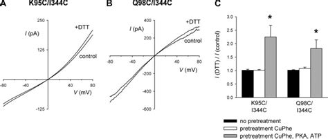 Insensitivity to CuPhe before channel activation. (A and B) Example... | Download Scientific Diagram