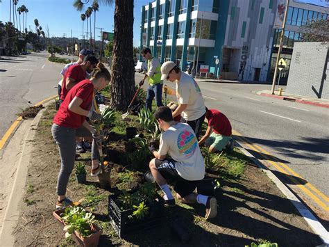 Guerrilla Gardening | Guerrilla gardening, Guerrilla, Garden