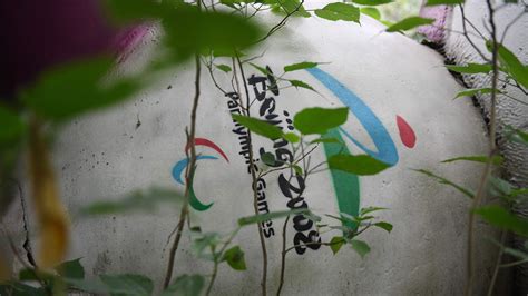 2008 Olympics venues in Beijing are now unused and completely overgrown