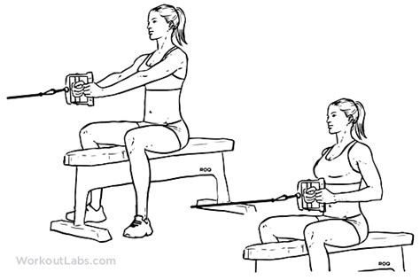 Seated / Low Cable Row | Illustrated Exercise guide - WorkoutLabs