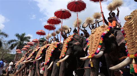 Thrissur Elephant Festival Tour | Waytoindia.com