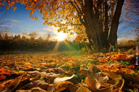 Autumn Colors | Film Lapland