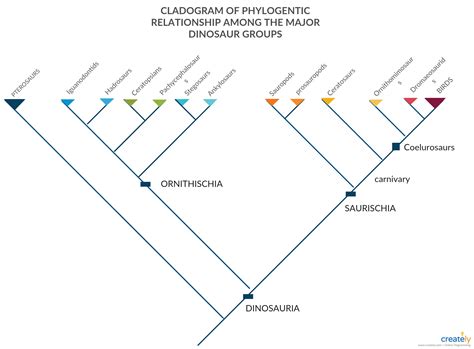 Cladogram [classic] | Word template, Templates, Words