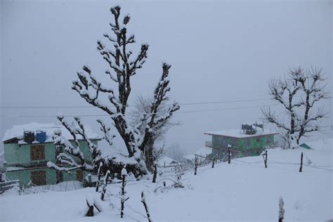 Tosh and Kasol in December: A Winter Itinerary - Tripoto