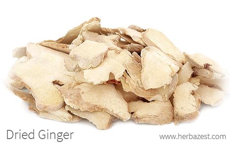 Dried Ginger | HerbaZest