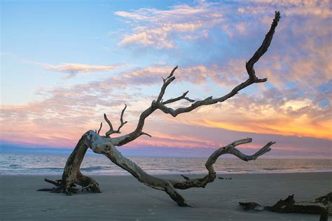 Secrets of Jekyll Island: the storied past of a Golden Isle – Lonely Planet