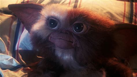 Gizmo | Gremlins Wiki | FANDOM powered by Wikia