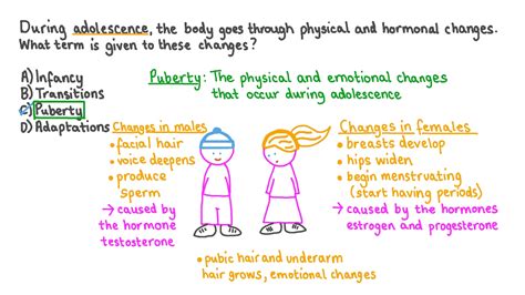 Question Video: Recalling the Term That Qualifies the Body Changes during Adolescence | Nagwa