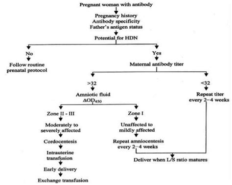 Hydrops Fetalis - Pictures, Definition, Survival Rate, Prognosis, Causes