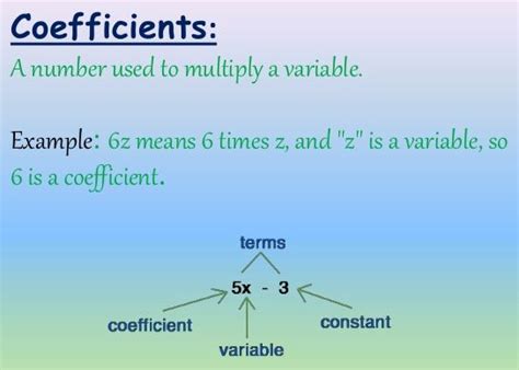 Factors And Coefficients Of A Polynomial - A Plus Topper