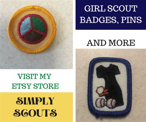 100 girl scout silver award ideas – Artofit