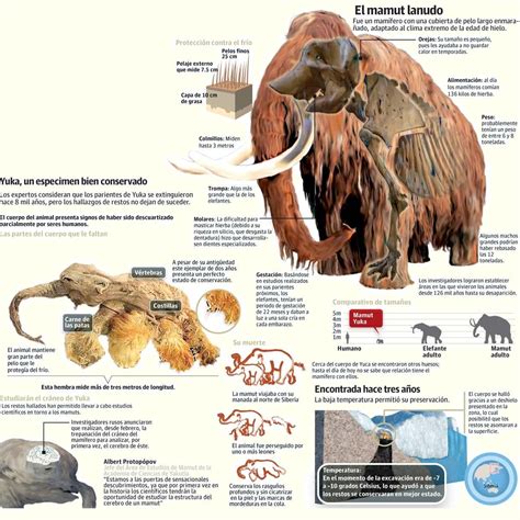 Mamut prehistórico Fiction Stories, Naturalist, Jurassic World ...