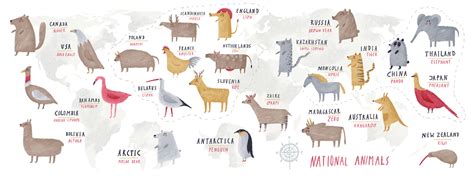 National Animals from Around the World by Oi Oilikki - They Draw & Travel