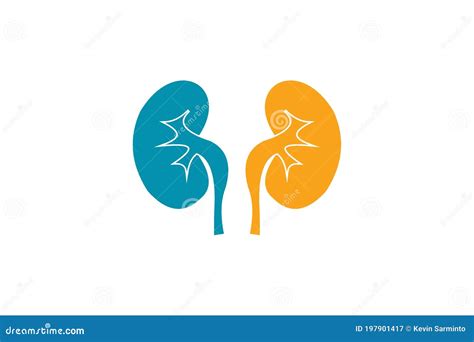 Kidney logo design stock illustration. Illustration of isolated - 197901417