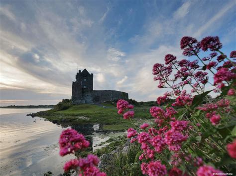 Visit Dunguaire Castle in 2024, beautiful castles in Galway