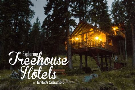 Exploring Treehouse Hotels in British Columbia - Elite Jetsetter