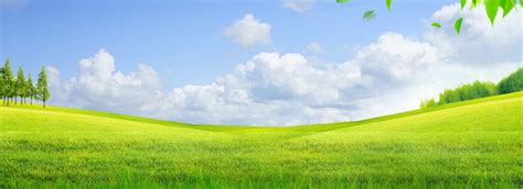 Fresh Green Grass Simple Banner Background, Meadow, Green, Lawn ...