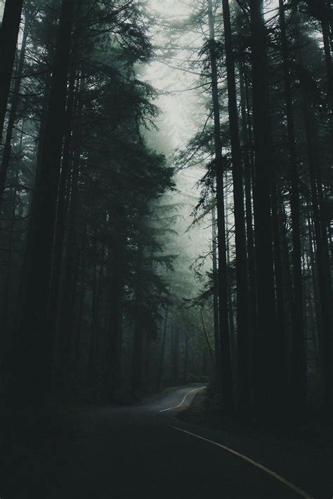 Forest Aesthetic Tumblr Wallpapers - Top Free Forest Aesthetic Tumblr ...