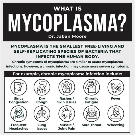 Mycoplasma is the smallest free-living and self-replicating species of bacteria that infects the ...