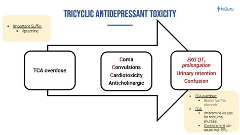 Pathophysiology of TCA Overdose [high-yield USMLE summary!] : r/step1