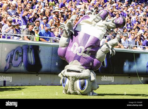 The TCU mascot during an NCAA football game when the Horned Frogs ...