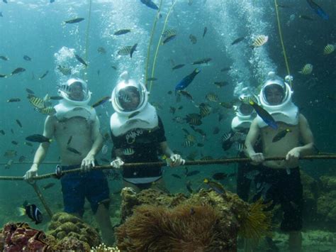 Sabah Diving and Island – Remarkable Borneo Tours – Mount Kinabalu ...