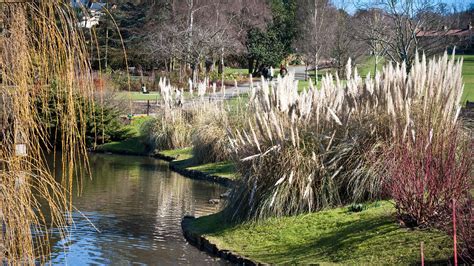 Golders Hill Park | Attractions in Golders Green, London