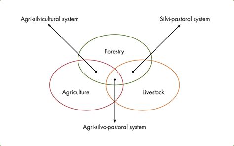 Classification of agroforestry systems based on composition | Download ...