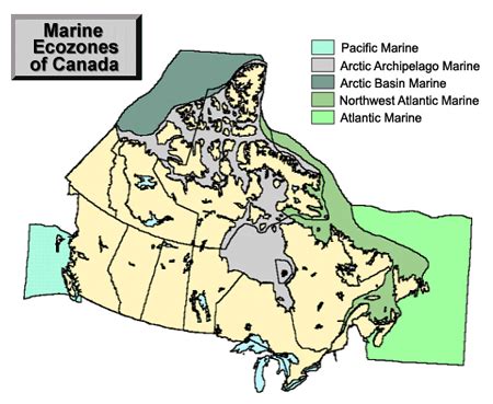 Ecozone and Ecoregion Maps and Descriptions