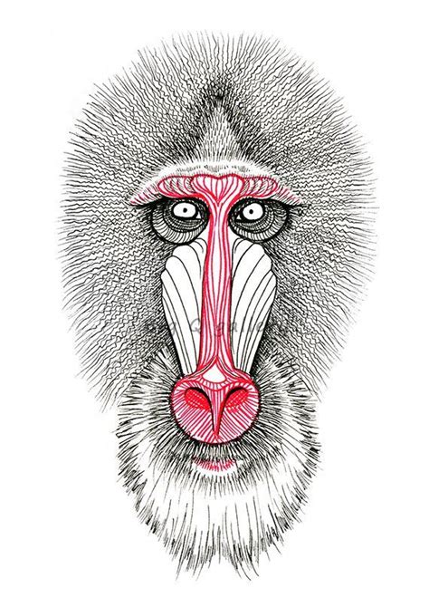 Baboon Sketch Printable Wall Art Drawn Red Nose Ape Black and - Etsy | Animal drawings, Baboon ...