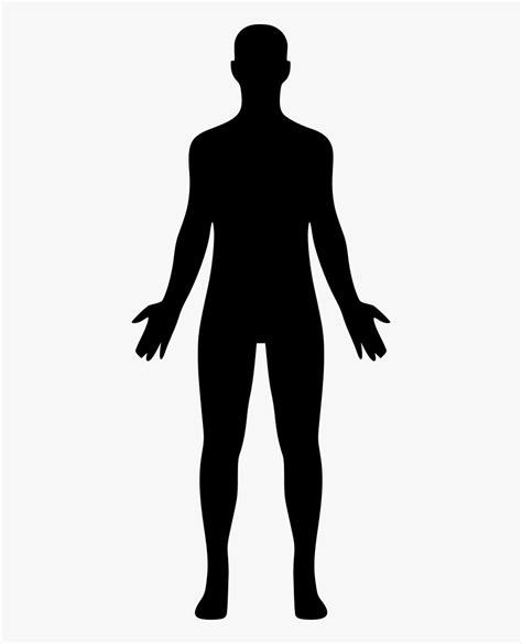 Body Png Free - Human Clipart, Transparent Png | Human clipart, Clip ...