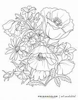 Coloring Pages For Adults Nature Printable sketch template