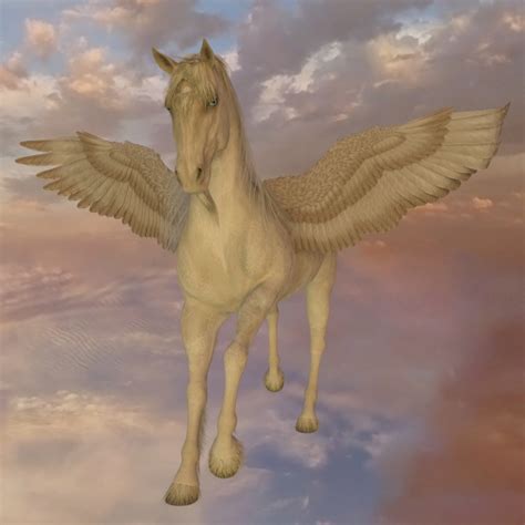 Pegasus Free Stock Photo - Public Domain Pictures