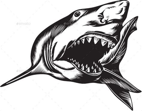 9+ Shark Silhouettes - Free PSD, AI, Vector, EPS Format Download