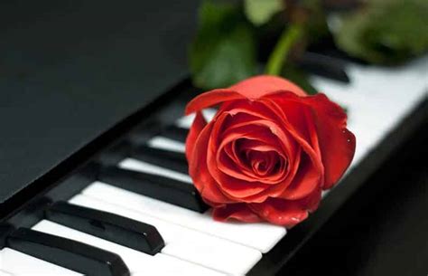 7 Soft and Relax Piano Music You Should Listen To - CMUSE