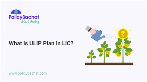 What is ULIP Plan in LIC? - PolicyBachat