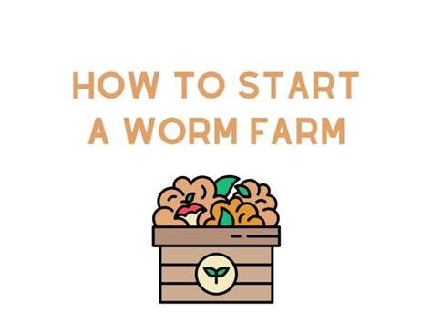 How to Raise Red Worms: Breeding Red Wigglers