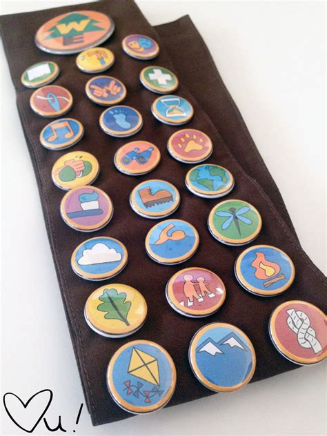 Wilderness Explorer Badges and Sash