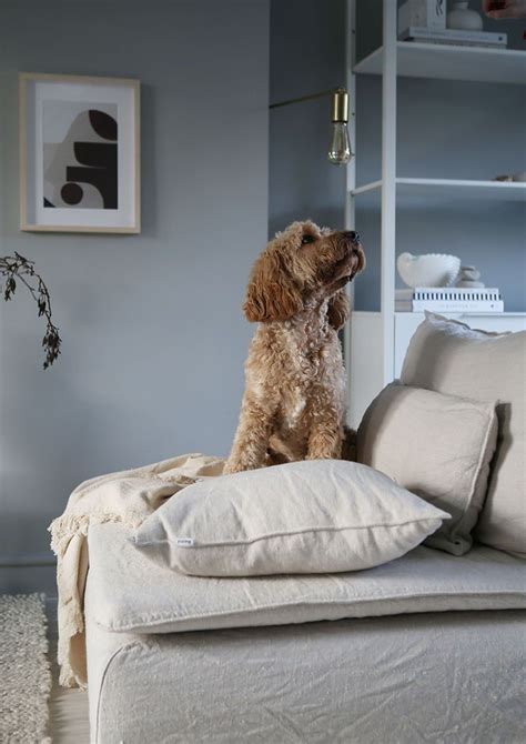 Our machine washable slipcovers for IKEA furniture are ideal for pet ...