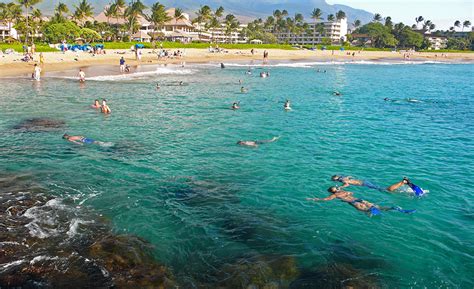 Snorkeling Black Rock On Ka'anapali Beach - See Fish Safely