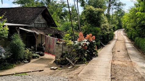 Suasana Kampung Yang Damai / Suasana pagi hari yang damai dan tenang di pedesan blitar jawa ...